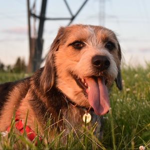 Meet your Posher, Yana